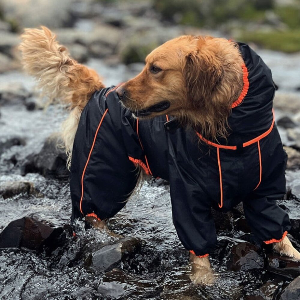 FunnyFuzzy Waterproof Adjustable Dog Rain Coat (BLACK 2XL)